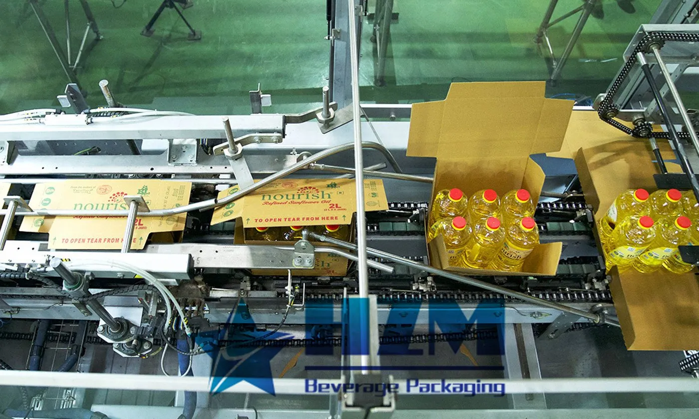 Automatic Carton Packing Machine