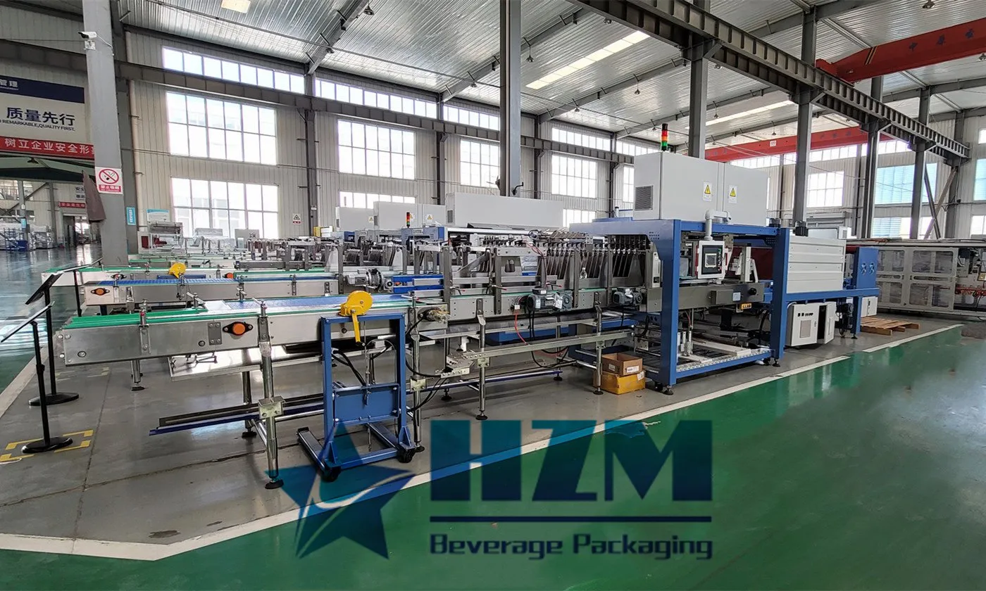 Automatic Shrink Packing Machine