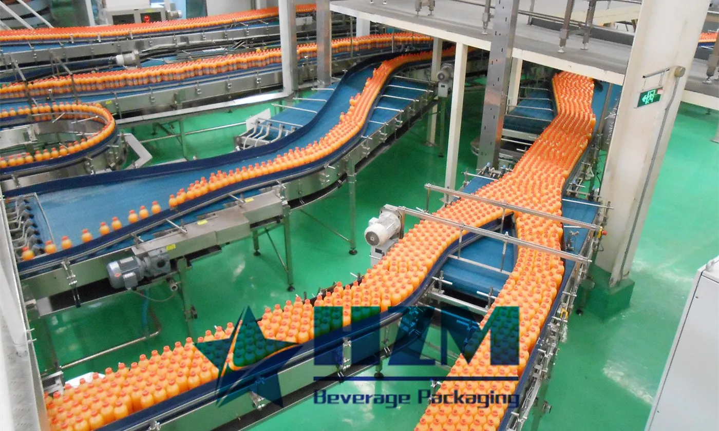 Bottle Conveyor