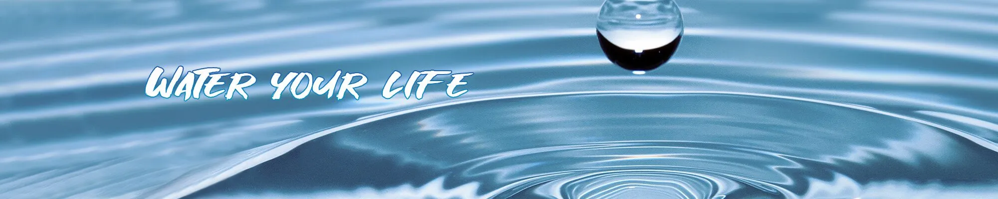 Water Filling Production Line Overall Solution Provider